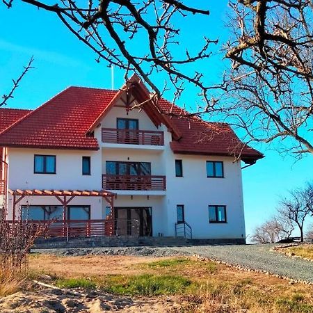 Casa Comilor Bed & Breakfast Surdesti  Екстериор снимка