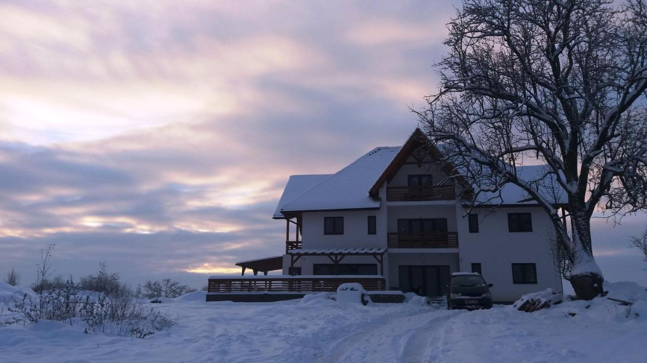 Casa Comilor Bed & Breakfast Surdesti  Екстериор снимка