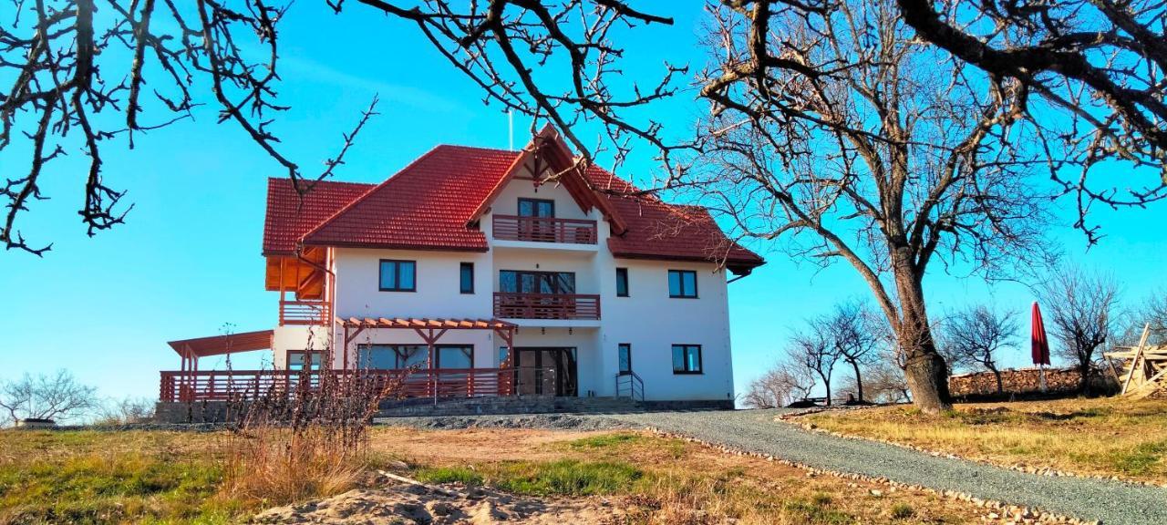 Casa Comilor Bed & Breakfast Surdesti  Екстериор снимка