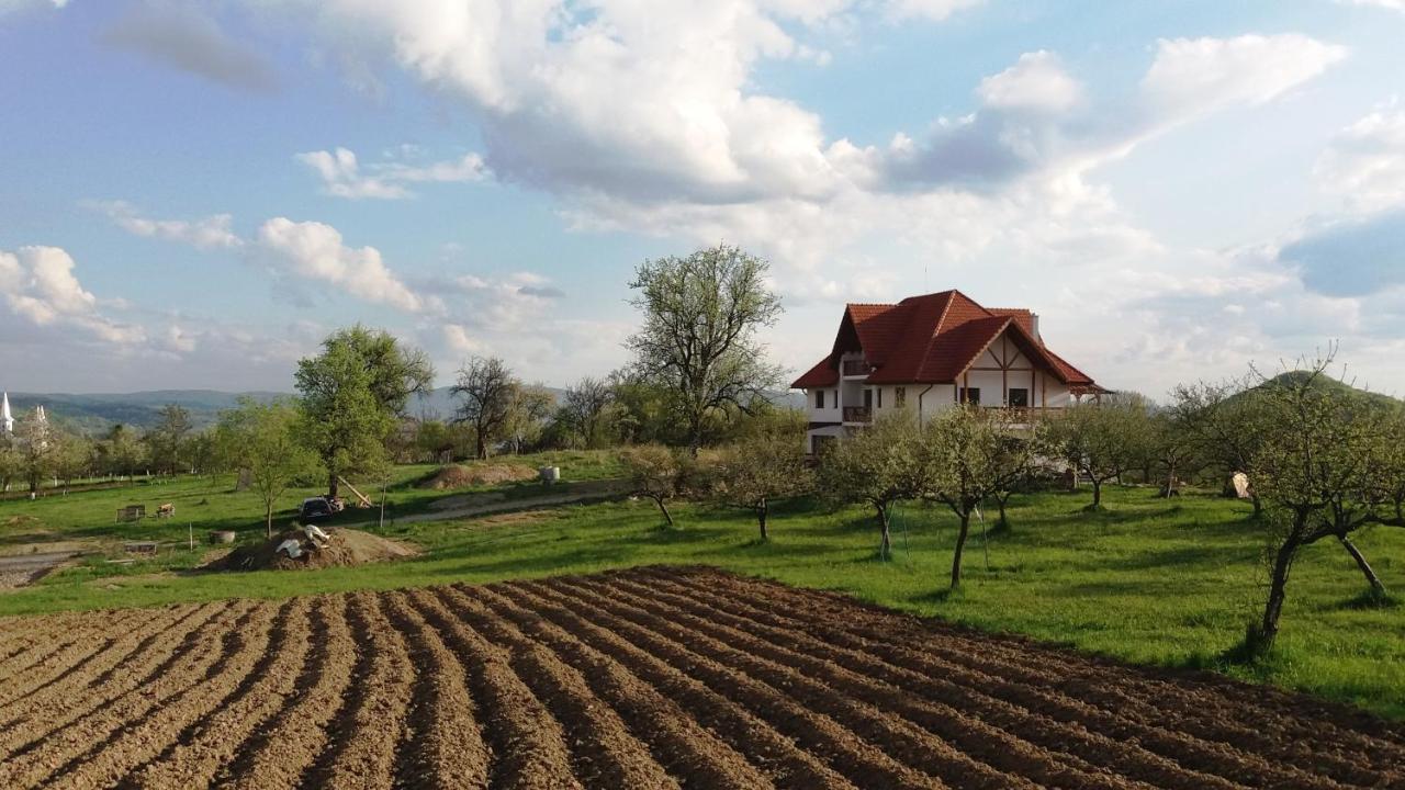 Casa Comilor Bed & Breakfast Surdesti  Екстериор снимка