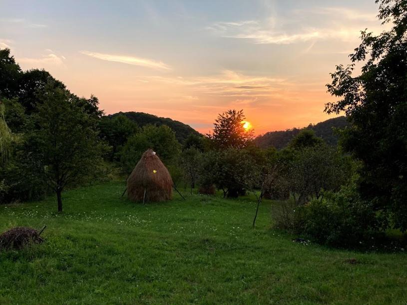 Casa Comilor Bed & Breakfast Surdesti  Екстериор снимка